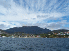 Bid for clearfelling, plantation, Mt Wellington 5