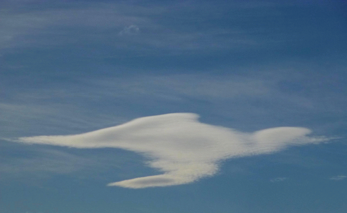 Is it a Bird? Is it ...? 5