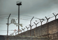 Ten Days of reviews: Chronicles of Long Kesh 4 Ten Days of reviews: Chronicles of Long Kesh 4
