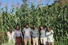 Africa’s Black Revolution 4 Africa’s Black Revolution 4