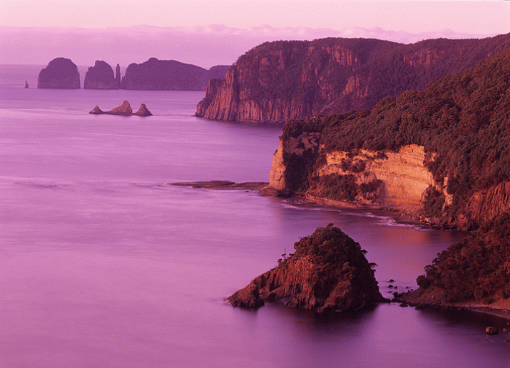 Conservationists promote tourism initiative on the Tasman Peninsula 3