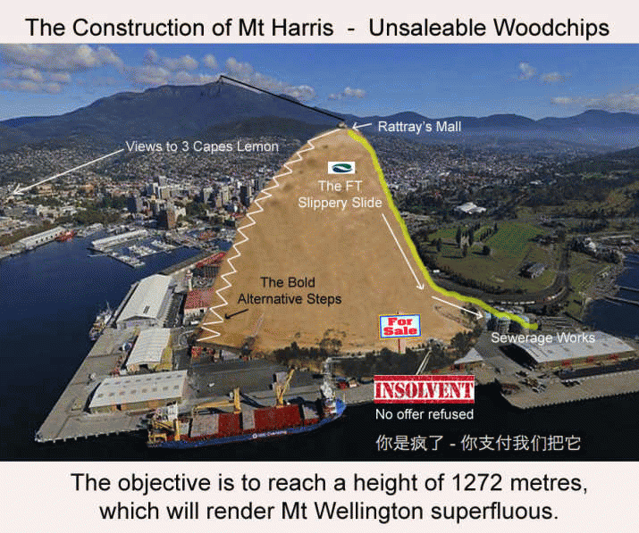 STATE: Deal ... or No Deal? Revelations from the Triabunna Chip Mill Inquiry ... 3