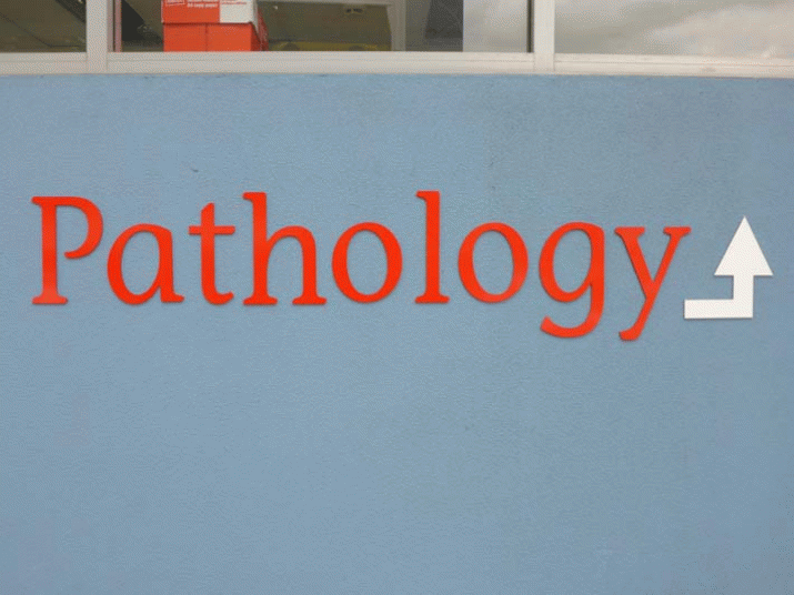 COMMENT: Does the Tasmanian Government really know what its policy is on pathology privatisation? 3