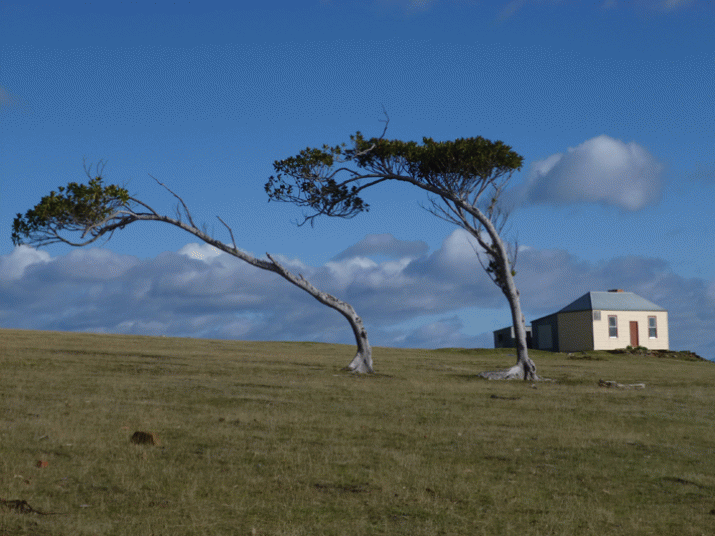 Maria Island 5