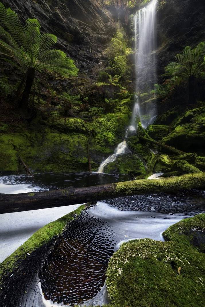 The commercialisation of the Tasmanian wilderness ... 4 The commercialisation of the Tasmanian wilderness ... 4