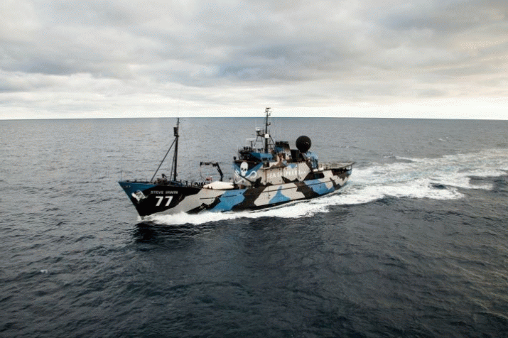 A letter from Sea Shepherd founder Captain Paul Watson to Japanese PM. 3