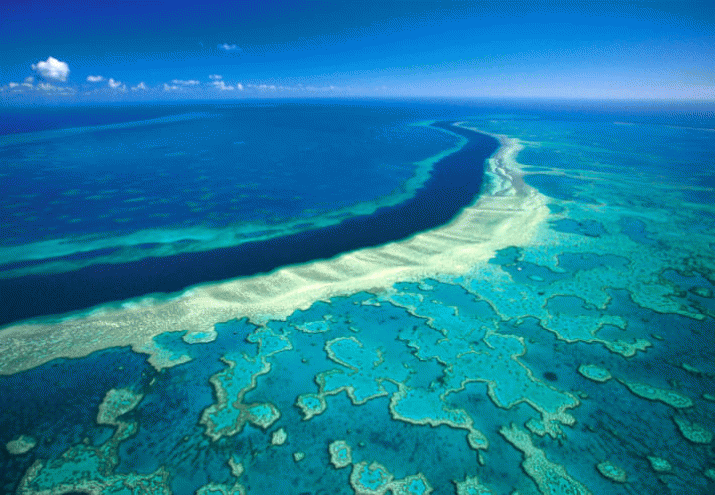 If Abbott is elected, Australia's natural wonders will gradually be rubbed away 3