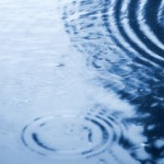 Water minister ignorant over pesticide impact ... 4 Water minister ignorant over pesticide impact ... 4