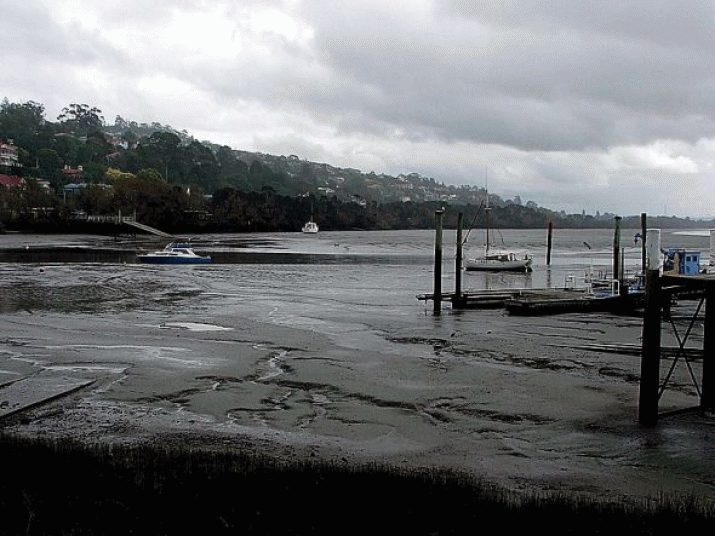 Residents demand action on Launceston's broken sewerage system. LCC backs Libs' plan 3
