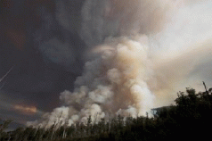 The terrible consequences of deforestation 3