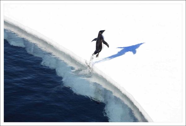 Major Victory for Protection of the Southern Ocean 3