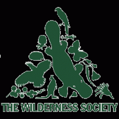 Wildos at war 5