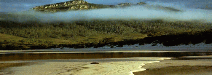 Abbott's eco folly will cost us 3