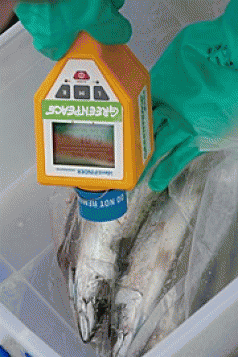 Rainbow Warrior testing waters off Fukushima 4 Rainbow Warrior testing waters off Fukushima 4