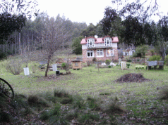 A Cry from the Heart: The home in the Valley 3