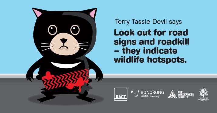 'Road safety awareness campaign to save wildlife lives' 3