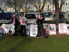 We will never stop fighting. The Backlash against the Backlash 3