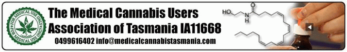 Workshop offers tips on medical cannabis 3