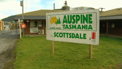 Select Committee into Scottsdale softwood log supply 4 Select Committee into Scottsdale softwood log supply 4
