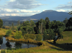 Lilydale: 'Startling new information' 5