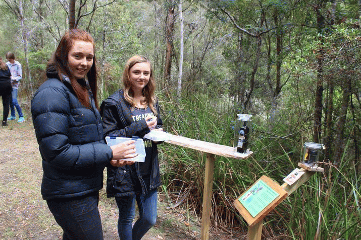 Launching a new and unique Tasmanian forest discovery experience 3