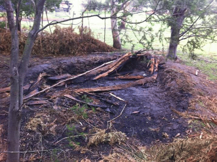 Burning down the Aboriginal bark hut at the Tarremah Steiner school ... 6 Burning down the Aboriginal bark hut at the Tarremah Steiner school ... 4