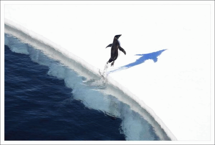 Russian delegation blocks global efforts for Antarctic marine protection 3