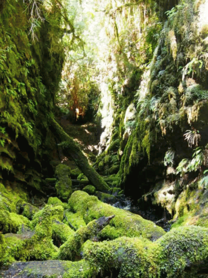 World Heritage body advises against Labor nomination 3