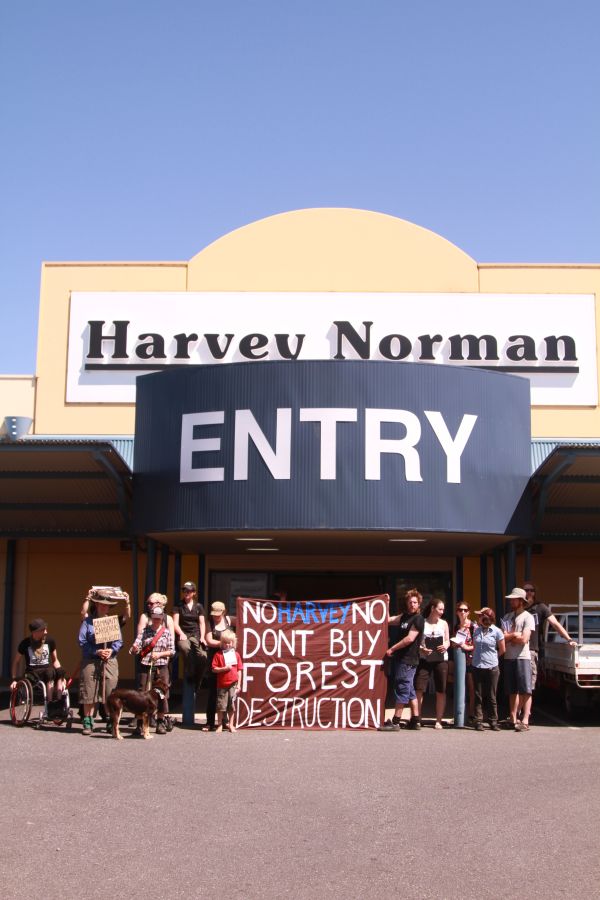 Forest activists scale the Sydney Opera House 7 image