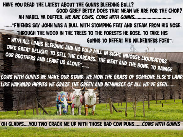 Cows with Gunns 4 image
