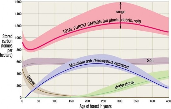 Climate calls for massive shift in forestry operations 1