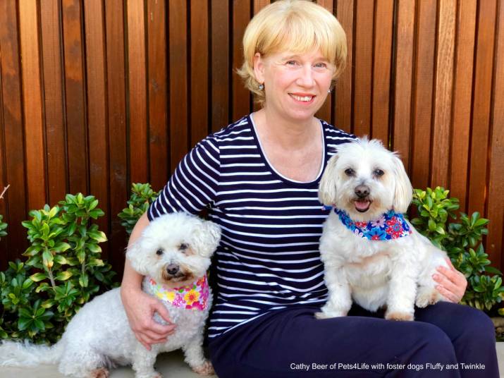 Introducing a new national awards program for animal rescue 4 image
