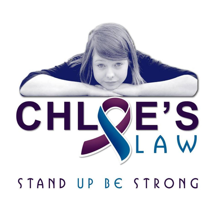 Chloe's Law crowd-funding project 1
