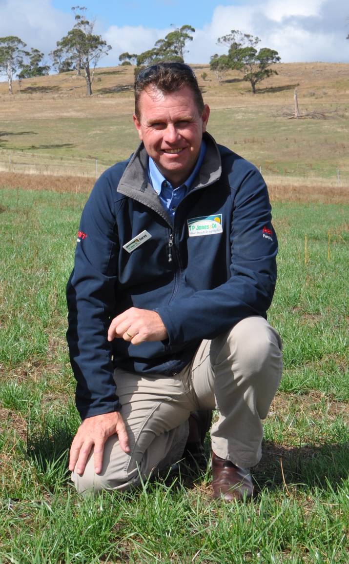 Pasture trials to increase profitability and production in the Tamar Valley 4 image