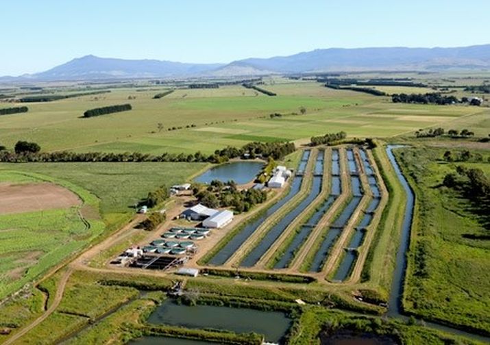 Cressy the world’s first multi-species hatchery to gain BAP certification 4 image