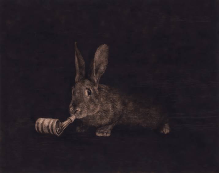 Devonport Regional Gallery: Upcoming Exhibitions 4 image
