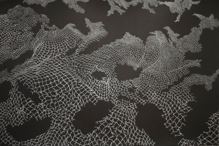 Devonport Regional Gallery ... March Newsletter 4 image