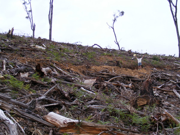 CONSERVATION GROUP SHIFTS INTO TOP GEAR 1