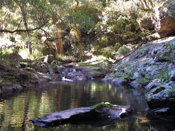 CONSERVATION GROUPS TAKE ON MINING GIANT 4 image