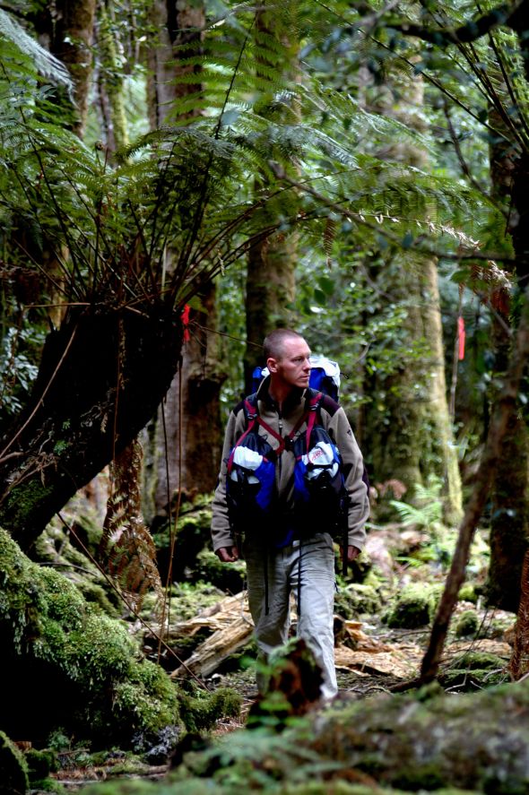 Tarkine tourism, a dead duck? 7 image