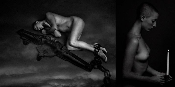 Tasman Quartermasters: Carnivore - Photographic Exhibition. Consumption, Beauty and Status 9 image