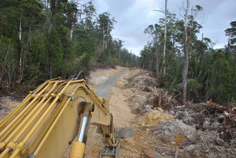 Hold Lara accountable for every forest logged 1