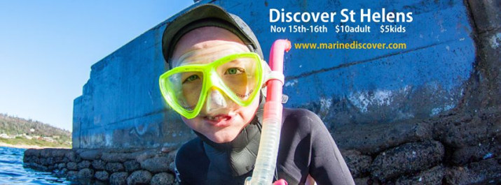 Discovery Event Exposes Bay of Fires Wonderland 1