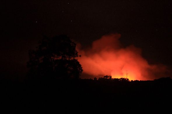 Ongoing Inferno in Tripa Peat Swamps, Aceh 6 image