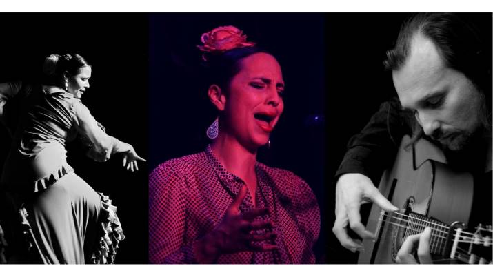 Mesmeric, No Holds-Barred Flamenco Ensemble Comes to Hobart - Oct 2017 6 image