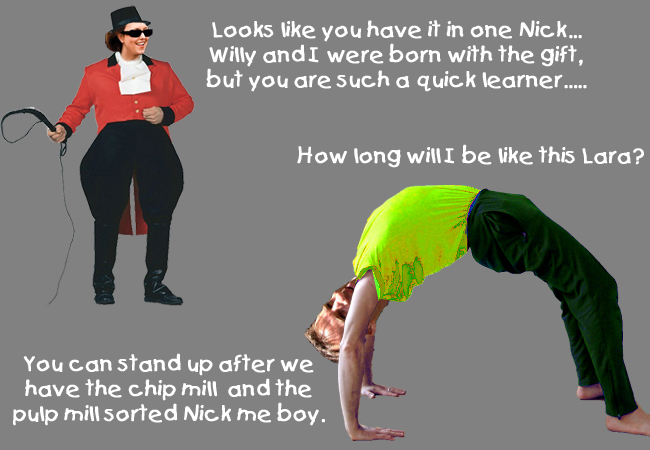 Flip McNimble 4 image