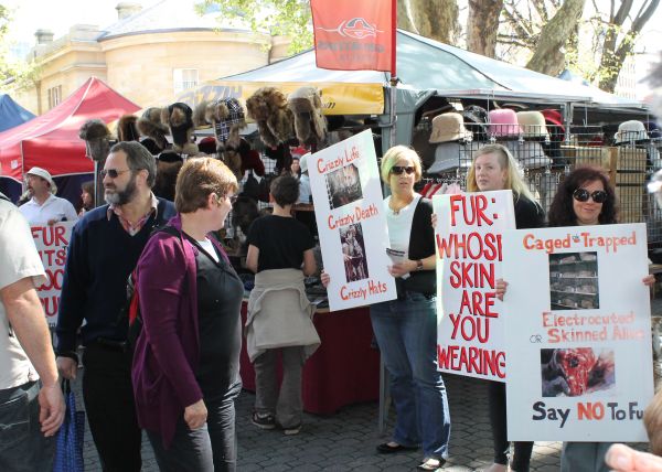 Wilkie stunned by Caucus decision on live exports 7 image