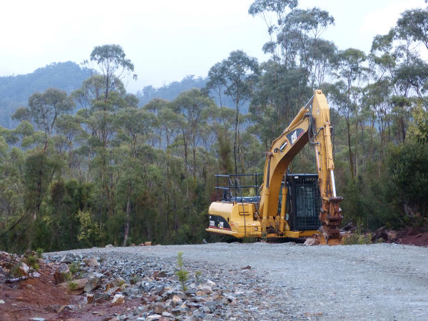 Tarkine ... and the message for Launceston 13 image