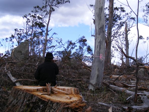 ROBBING PETER TO PAY PAUL - Timber Supply Crisis to Cost Taxpayers Millions! 1