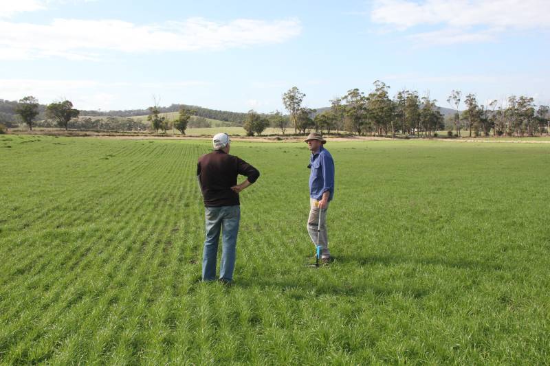 Bringing profitability to red meat production 1